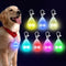 Pet Glow Pendant Collar Accessory with Rechargeable LED and Micro USB Interface