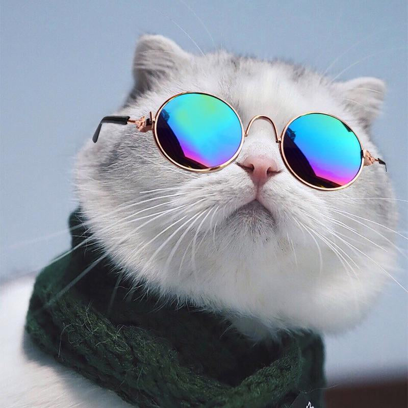 Fashion Eye Glasses for Cats, Retro Circular Cool Sunglasses, Pet Costume Supplies, round Frame Glasses Photo Props for Small Medium Pets Kids Boys Girls