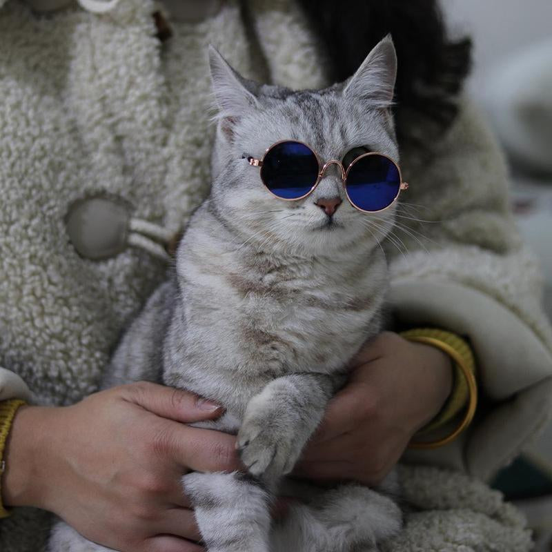 Fashion Eye Glasses for Cats, Retro Circular Cool Sunglasses, Pet Costume Supplies, round Frame Glasses Photo Props for Small Medium Pets Kids Boys Girls