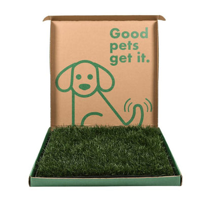 Fresh Patch Large Combo Pack: Real Grass Dog Potty with Tray | Large Pet Indoor/Balcony Potty Solution