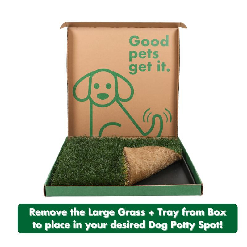 Fresh Patch Large Combo Pack: Real Grass Dog Potty with Tray | Large Pet Indoor/Balcony Potty Solution